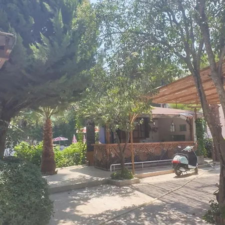 Alcan Apart Φετιγιέ
